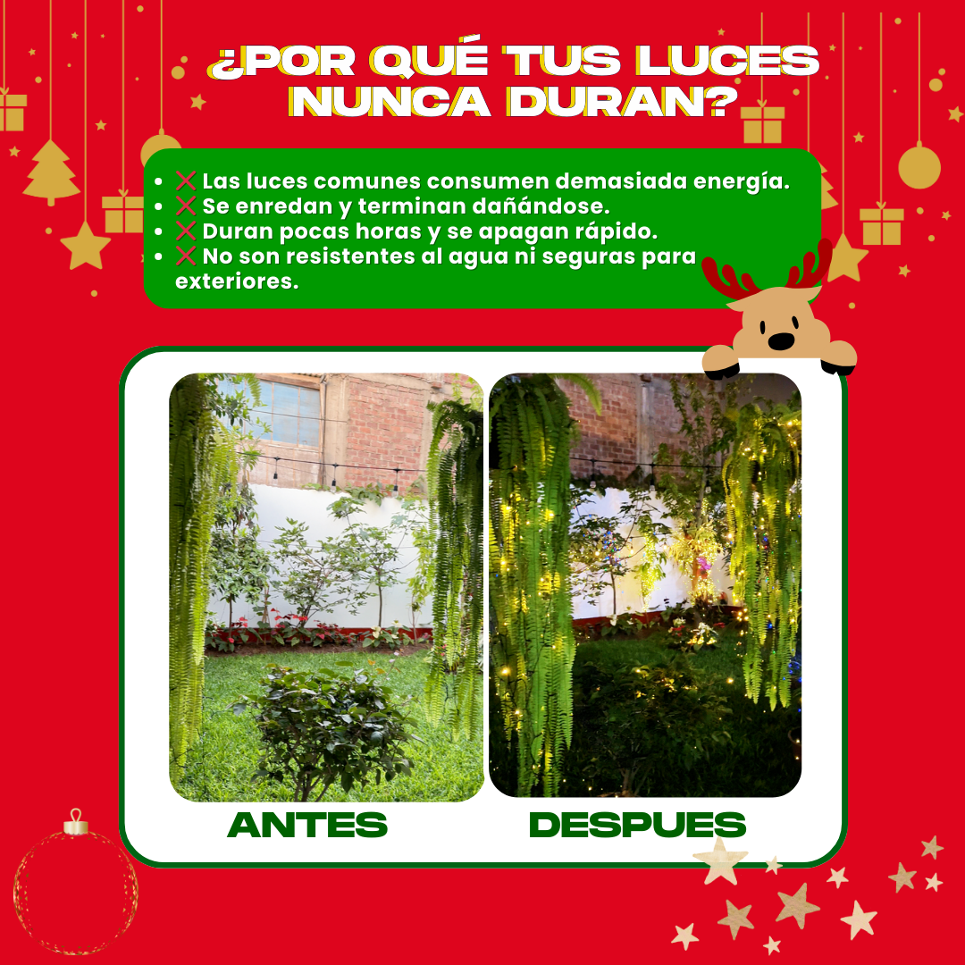 2 LUCES SOLARES DORADO (20 M) + REGALO GRATIS - M0321