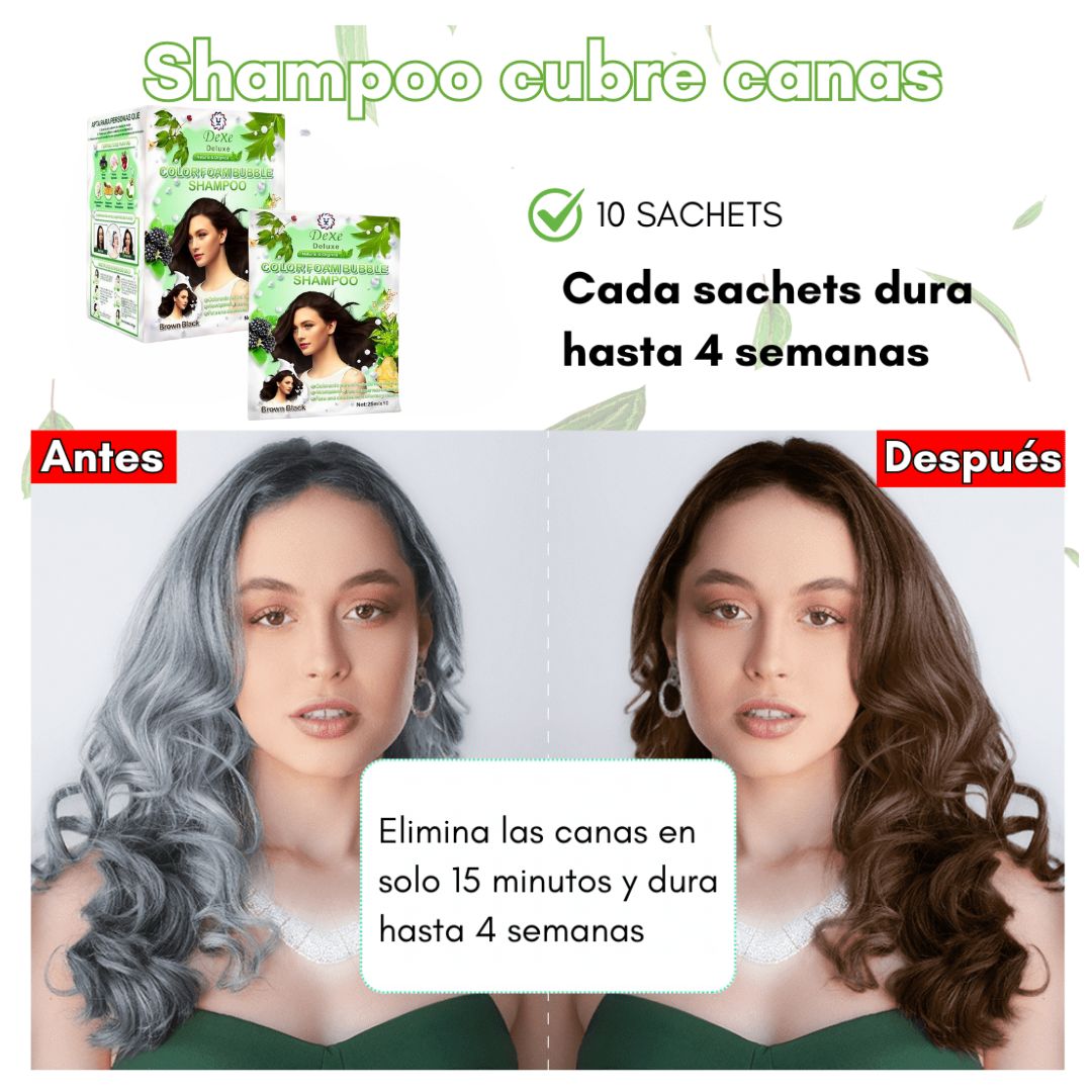 SHAMPOO DEXE ANTICANAS COLOR CASTAÑO OSCURO (10 Sachets) + GRATIS PEINE para teñir - M0171