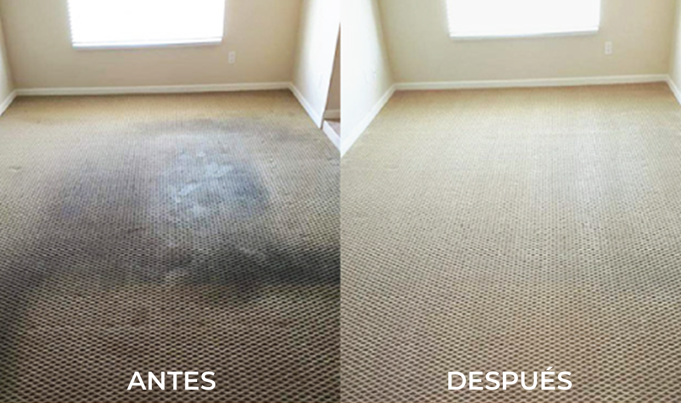 (2x1) ESPUMA LIMPIADORA DE MUEBLES Y ALFOMBRAS - M0101
