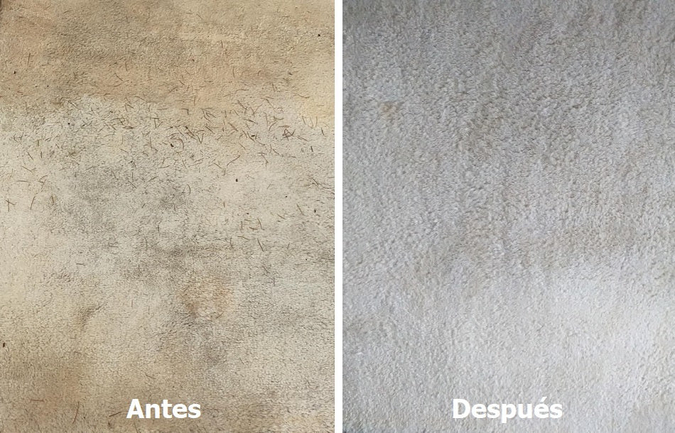 (2x1) ESPUMA LIMPIADORA DE MUEBLES Y ALFOMBRAS - M0101