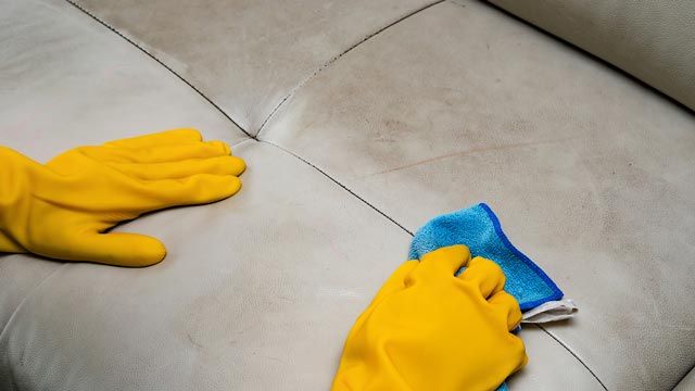 (2x1) ESPUMA LIMPIADORA DE MUEBLES Y ALFOMBRAS - M0101