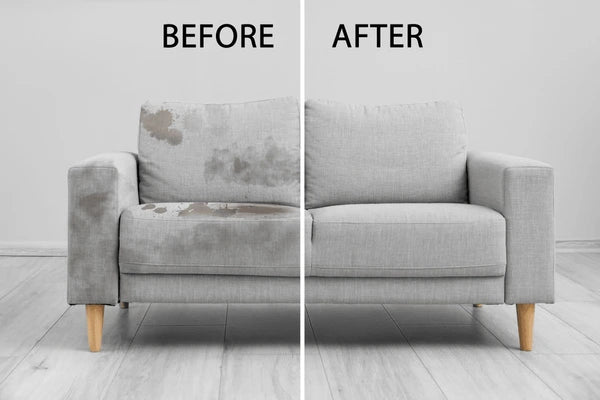 (2x1) ESPUMA LIMPIADORA DE MUEBLES Y ALFOMBRAS - M0101