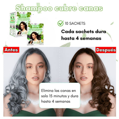 SHAMPOO DEXE ANTICANAS COLOR CASTAÑO OSCURO (10 Sachets) + GRATIS PEINE para teñir - M0171
